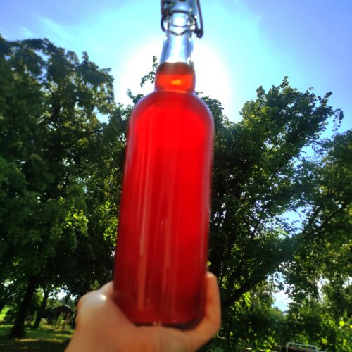bouteille boisson fermenté