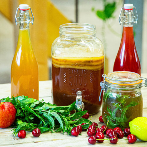 Boissons fermentées