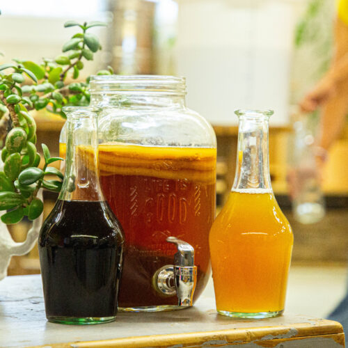 parcours du kombucha