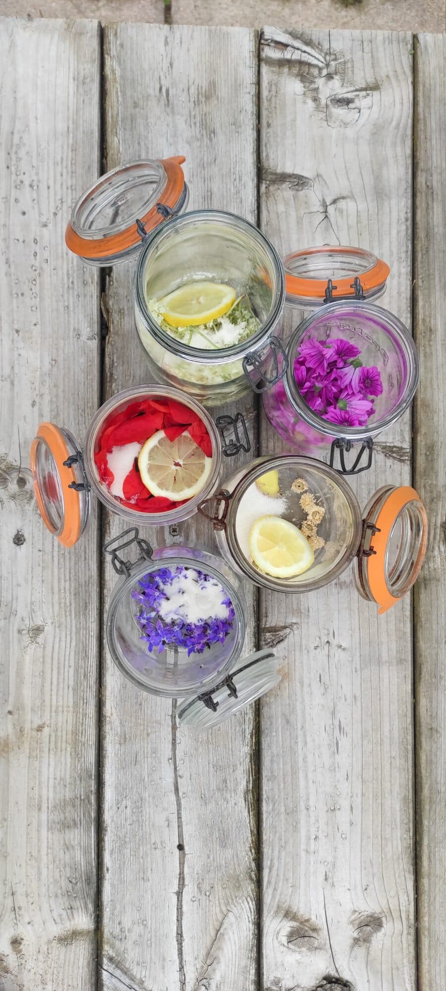 bocaux fermentation alimentaire Drôme