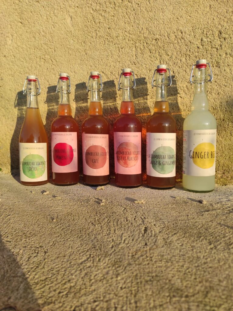 boissons fermentées kombucha et gingerbeer Drôme