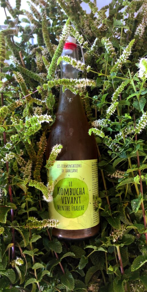 Kombucha menthes fraîches